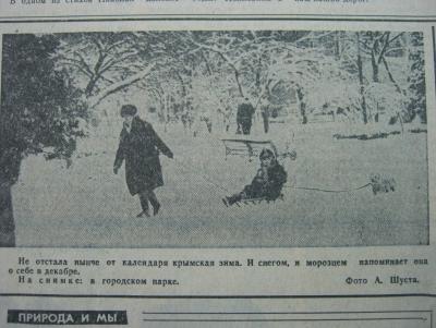 Прикрепленное изображение: IMG_3487.JPG